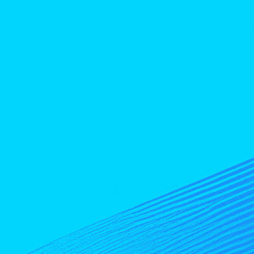 Why South Africa Has So Many Official Languages